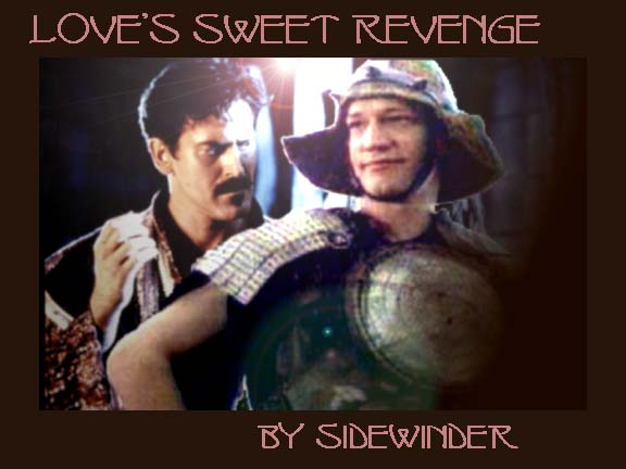Love's Sweet Revenge by sidewinder